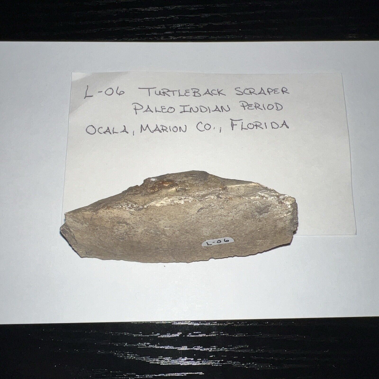 Authentic Prehistoric Flint Turtle back Scraper Tool, Indian Artifact  Relic
