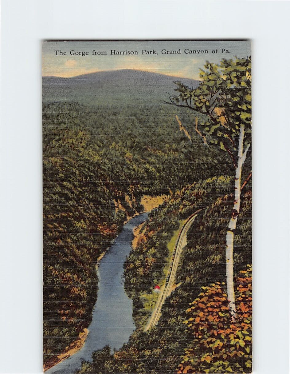Postcard The Gorge from Harrison Park Grand Canyon of Pennsylvania USA