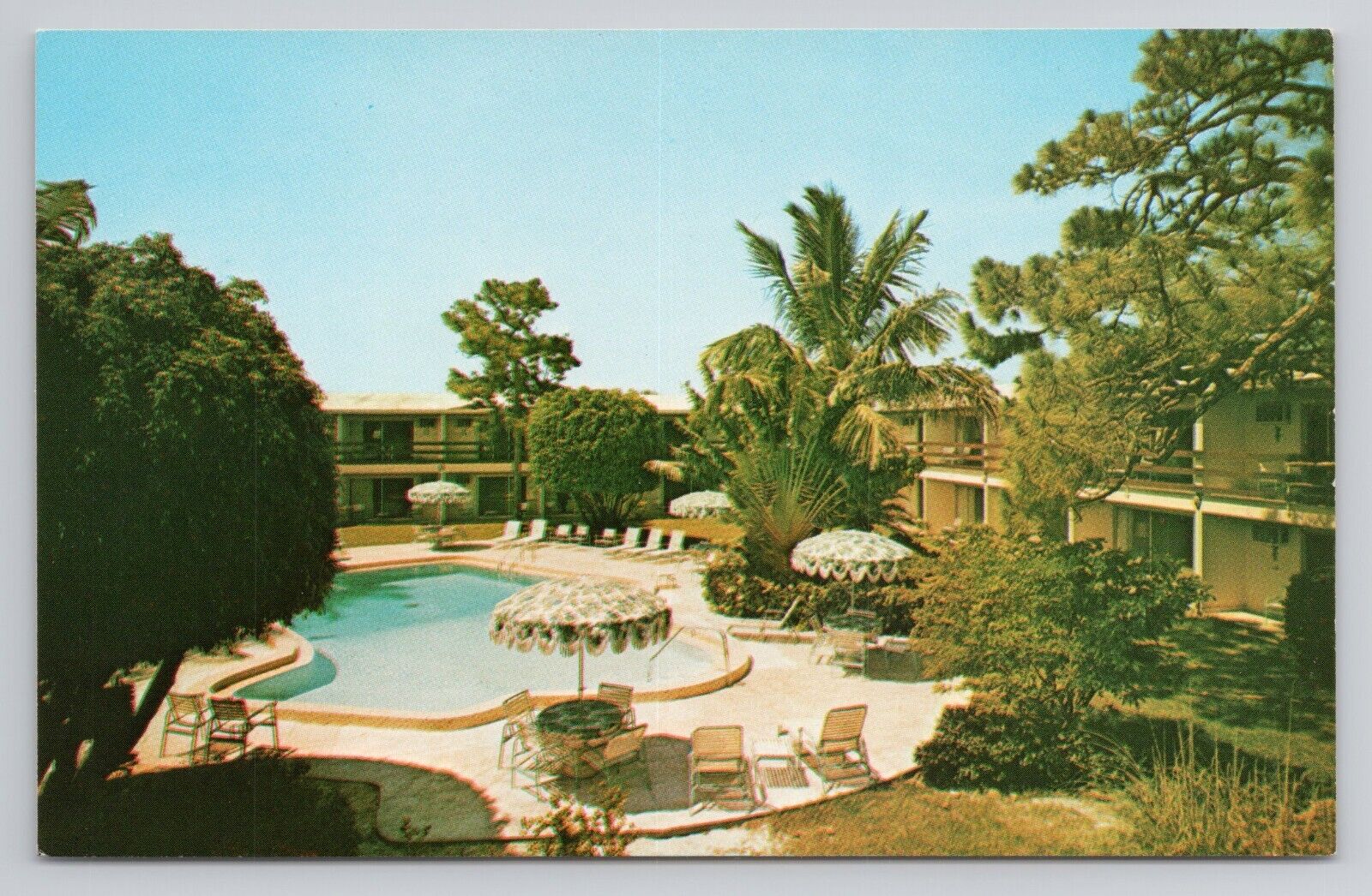 Postcard The Buccaneer Red Carpet Inn Naples Florida