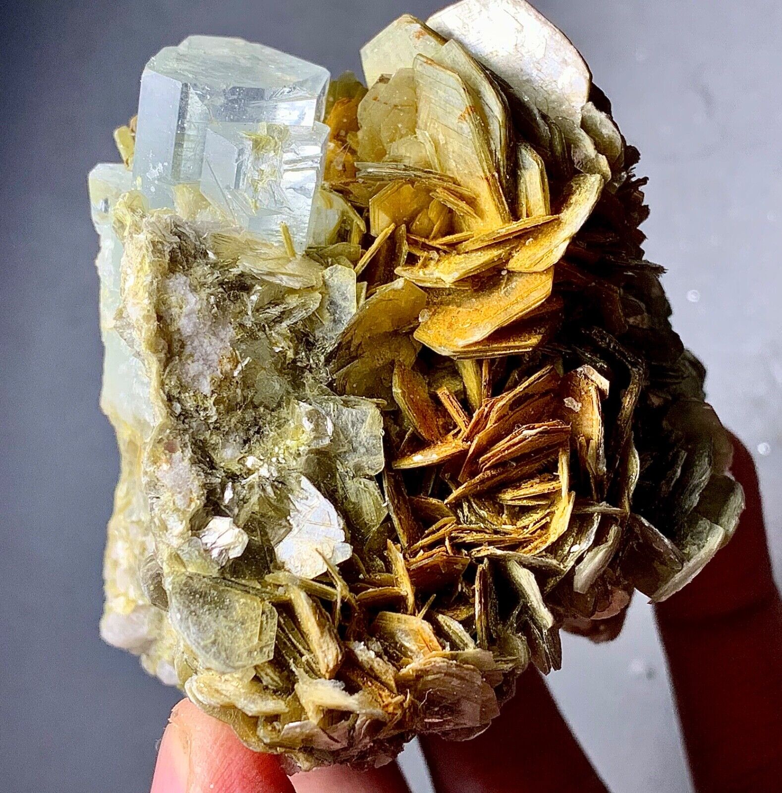 310 Gram Aquamarine Crystal Specimen From Skardu Pakistan