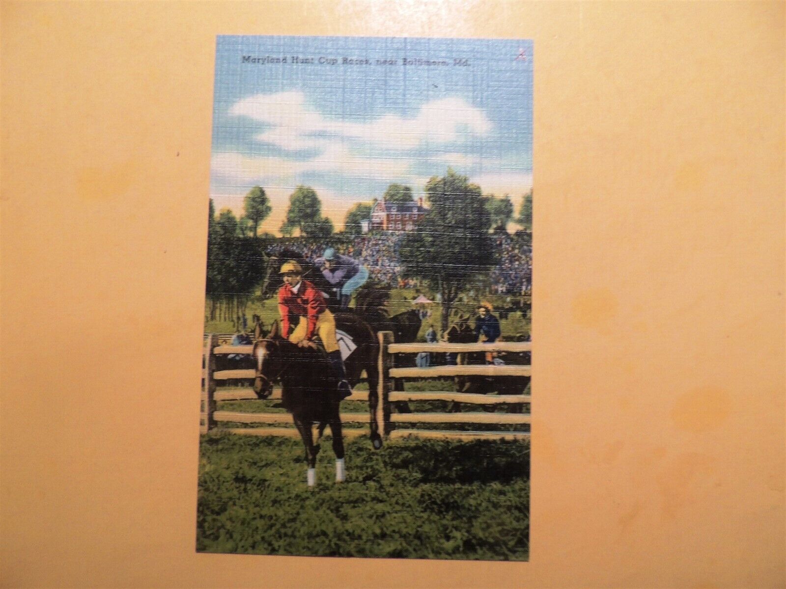 Maryland Hunt Cup Races near Baltimore Maryland linen postcard steeplechase