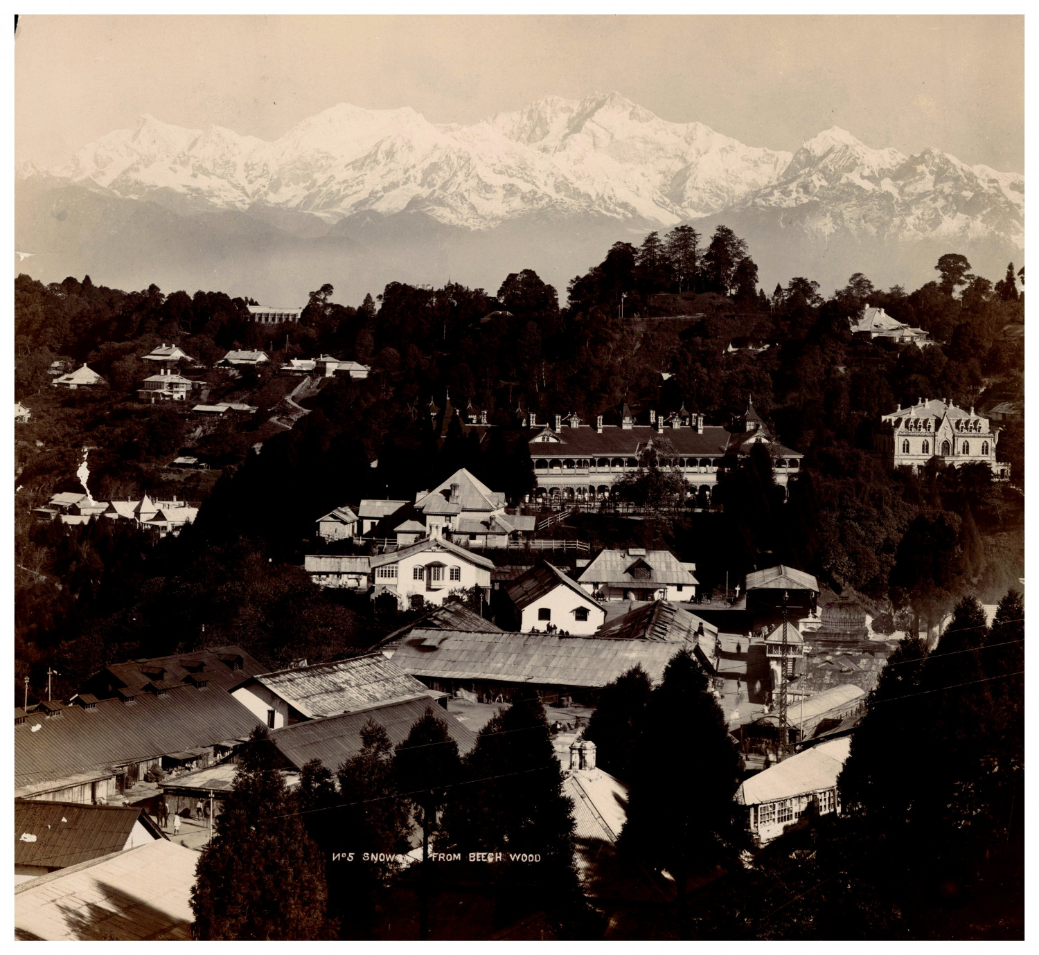 Thomas Parr, India, Darjeeling, Snows from Beech Wood Vintage Albumen Print Ti