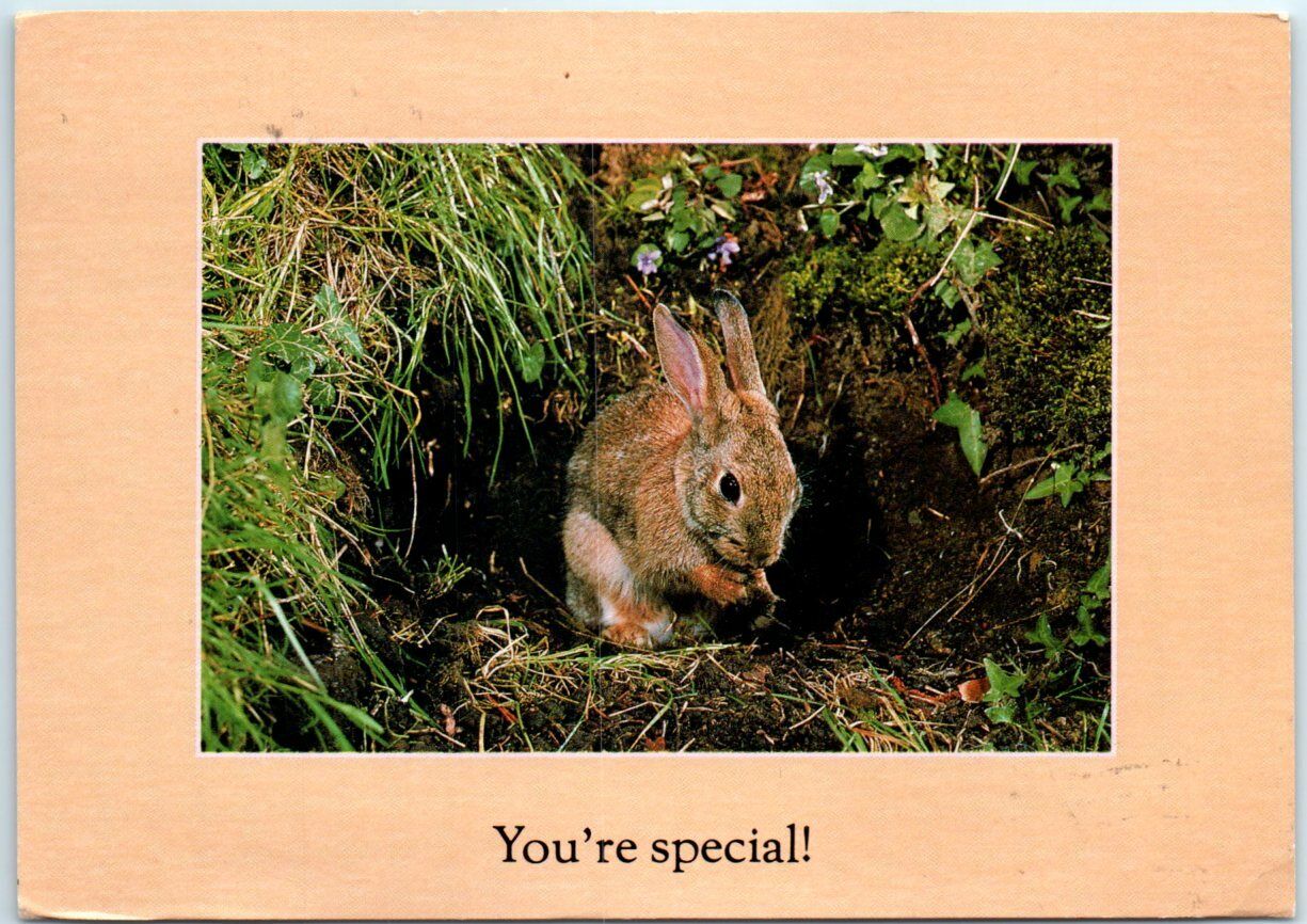 Postcard - You're special