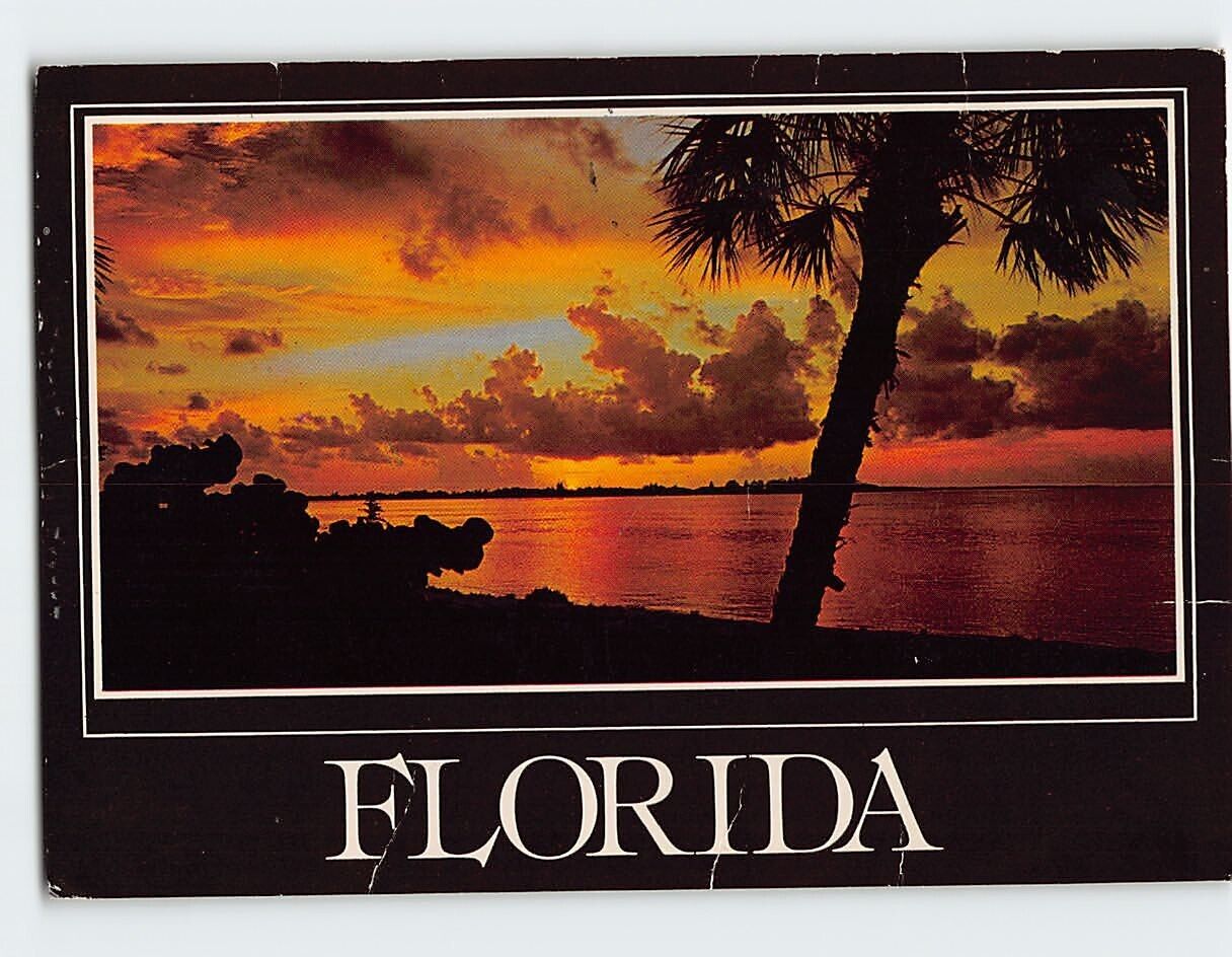 Postcard Florida