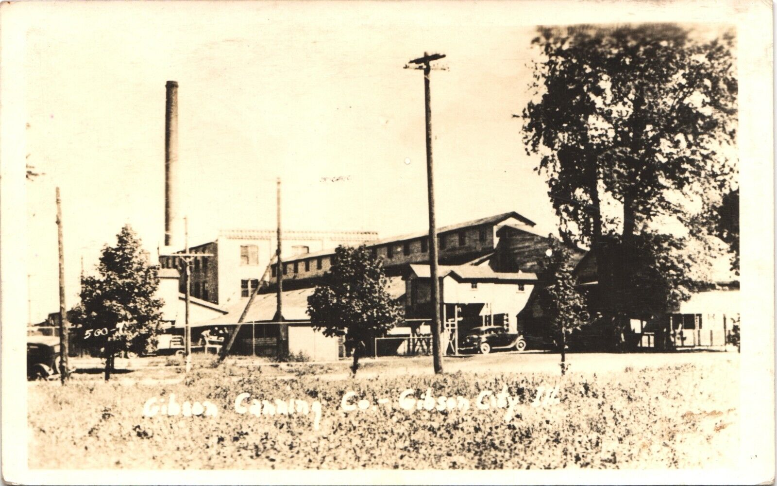GIBSON CITY, IL, CANNING FACTORY real photo postcard ILLINOIS 1920s antique rppc