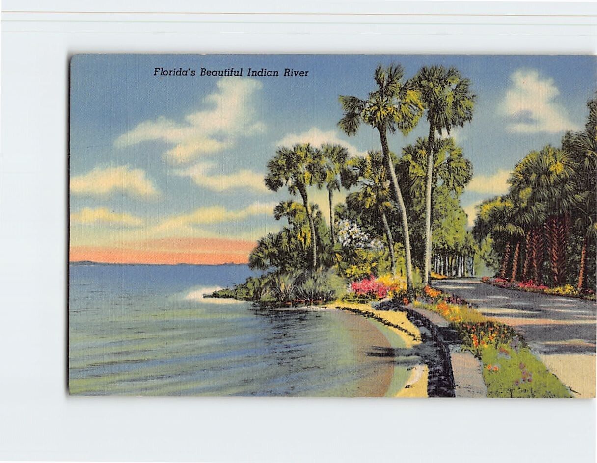 Postcard Beautiful Indian River Florida USA