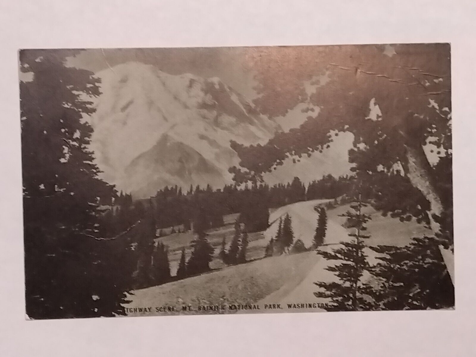 Highway Scene Mt Rainier National Park Washington Postcard