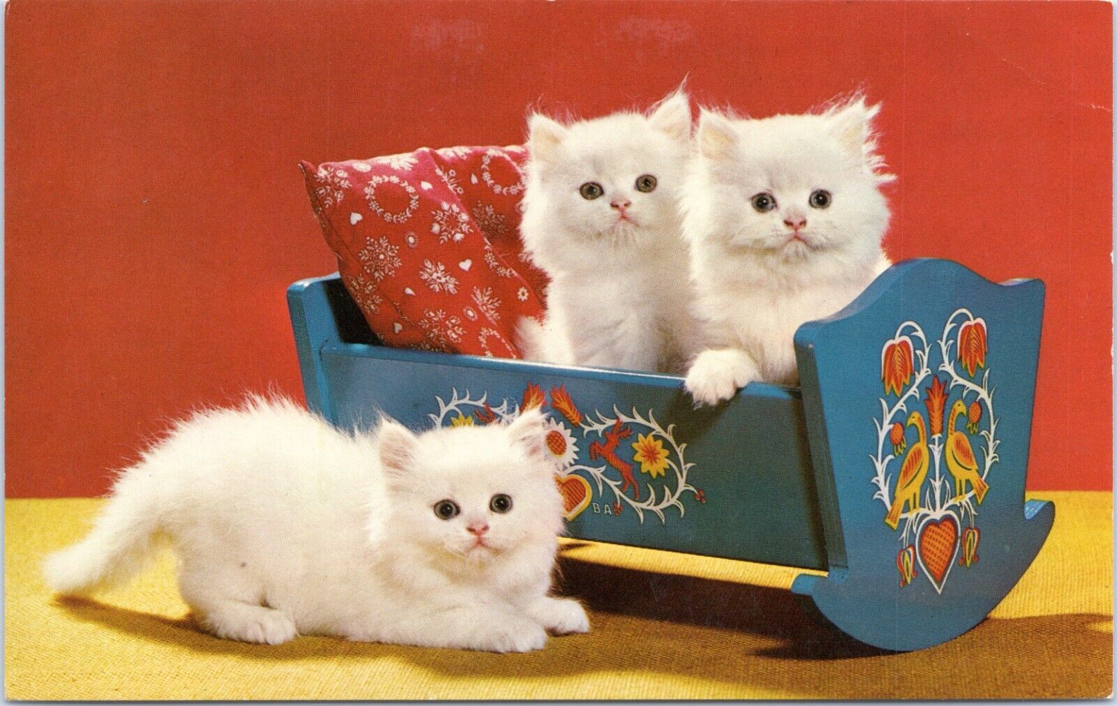 c1950\'s Don\'t Rock Our Cradle, three kittens, Vintage Chrome, cats, sweet