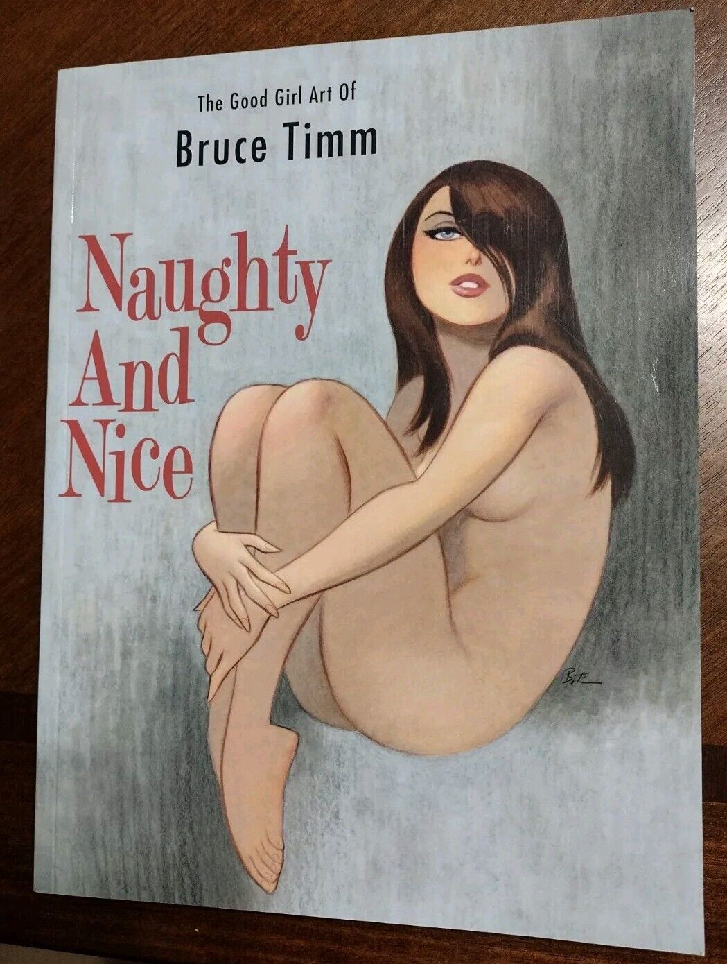 Naughty and Nice The Good Girl Art of Bruce Timm SC Flesk New but scratch & dent