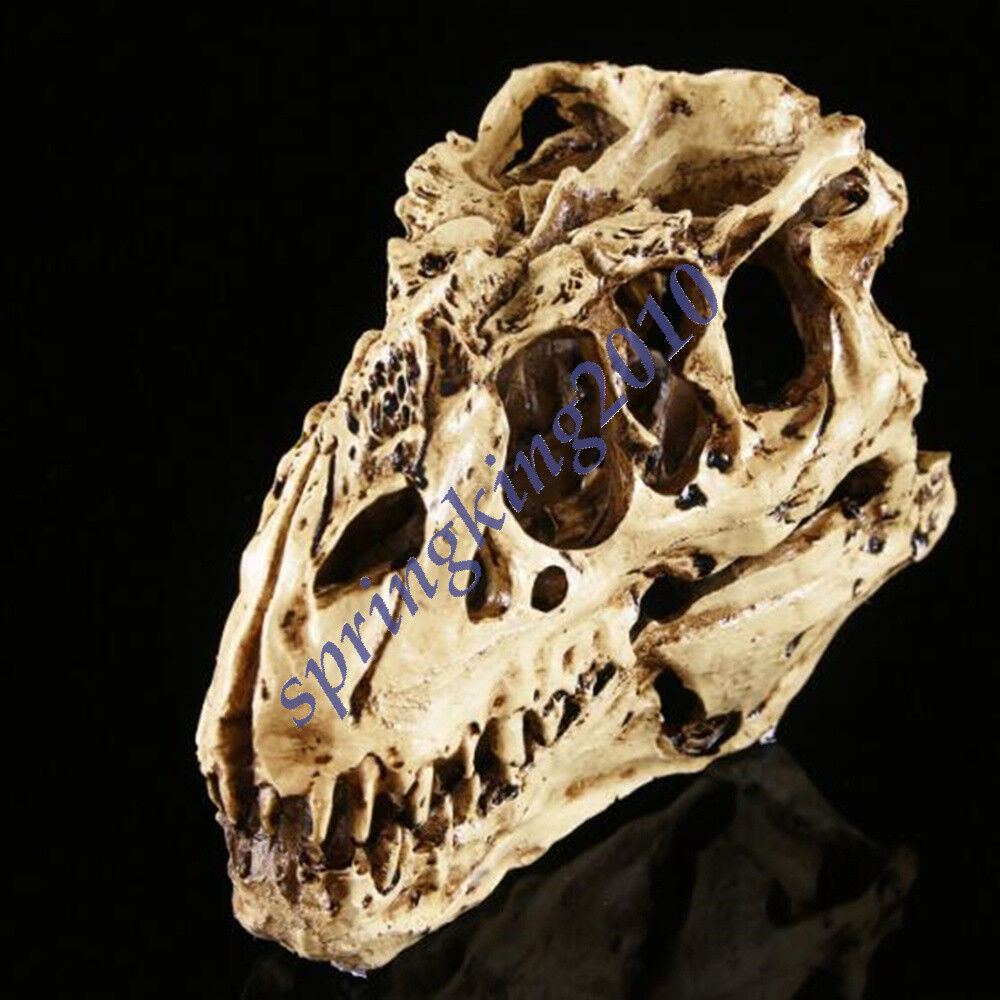 Tyrannosaurus T-Rex Skull Resin Fossil Model Dinosaur Collectibles Replica New