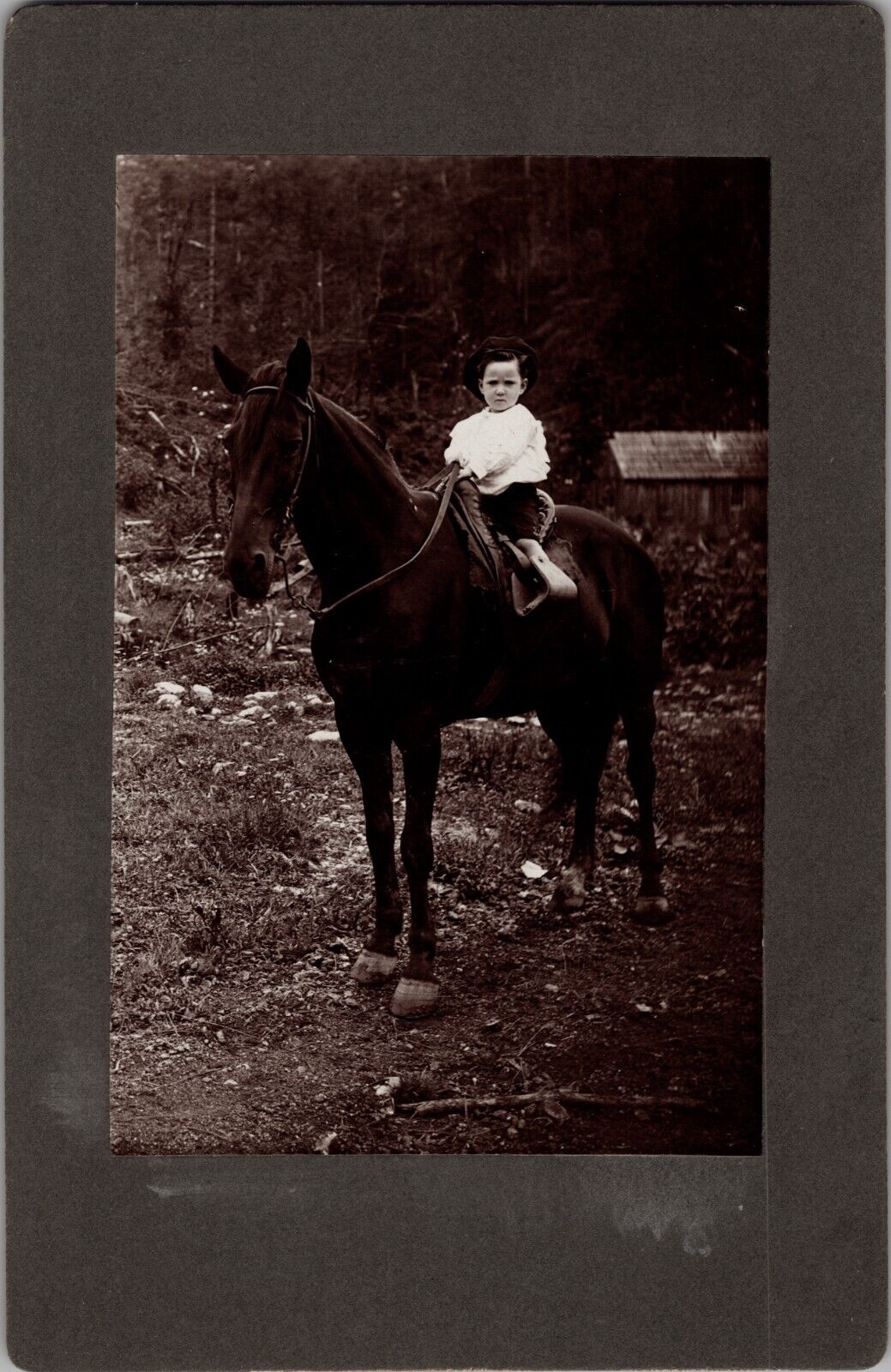 Antique Cabinet Photo Cute Young Boy on Horseback c 1890s
