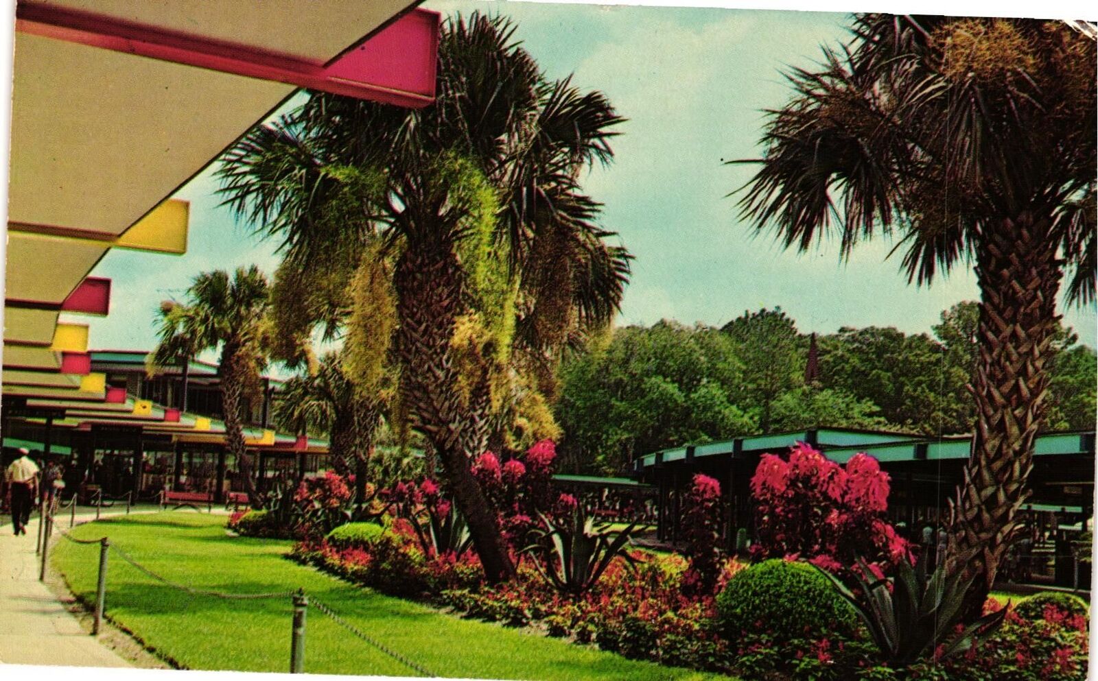 Vintage Postcard- Silver Springs, FL 1960s