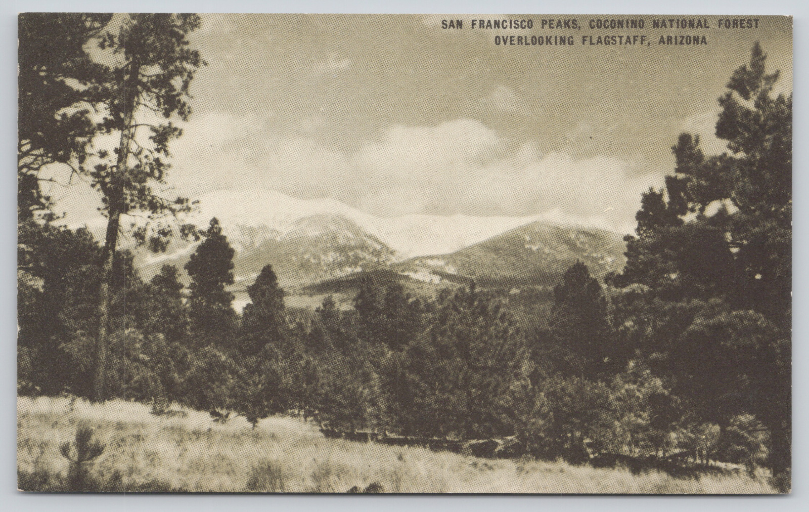 Postcard San Francisco Peaks, Coconino National Forest, Over Flagstaff A499