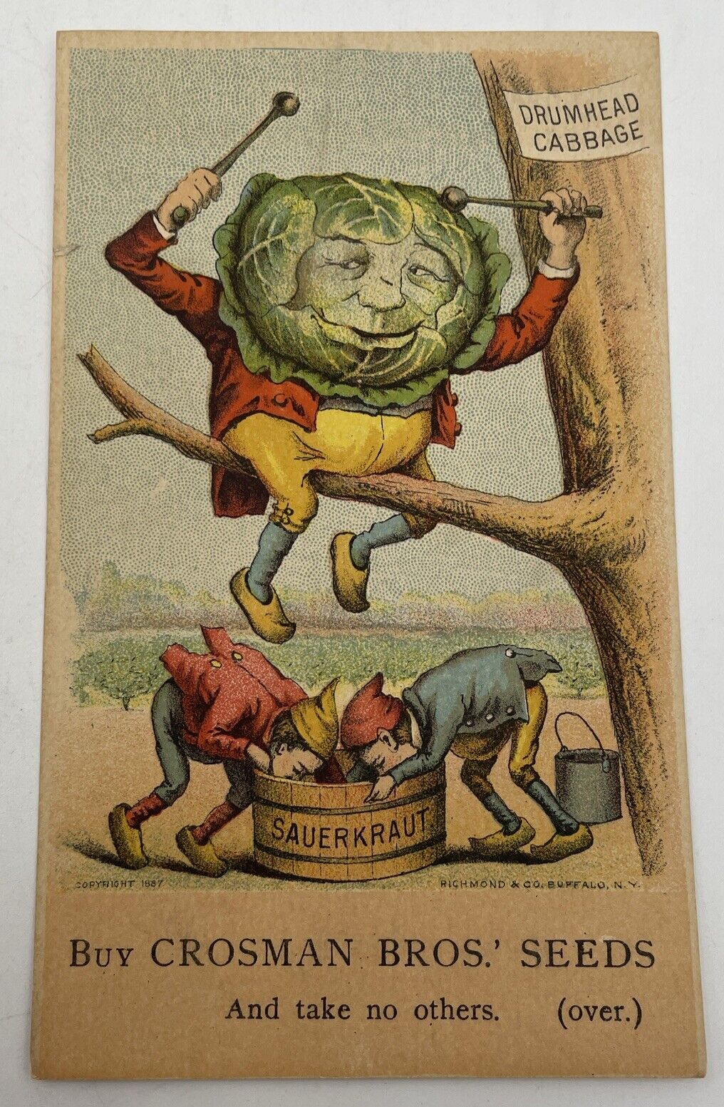Crosman Bros Seeds Cabbage Rochester NY Trade Card Vintage Original