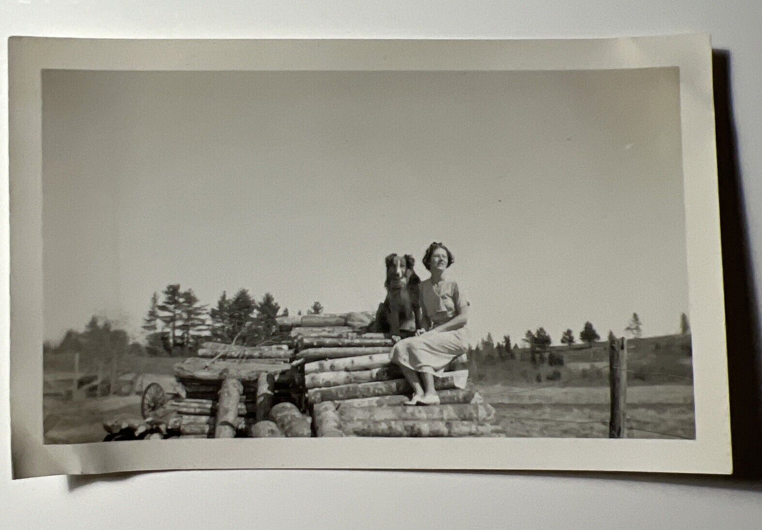 1950s SHELTIE DOG with Woman sitting on LOGS Firewood vintage Photo Snapshot