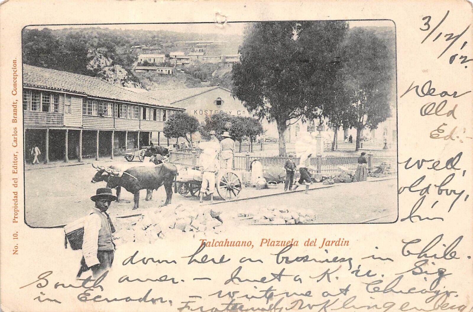 CHILE Talcahuano Plazuel del Jardin Town View Ox Cart 1902 UDB Postcard