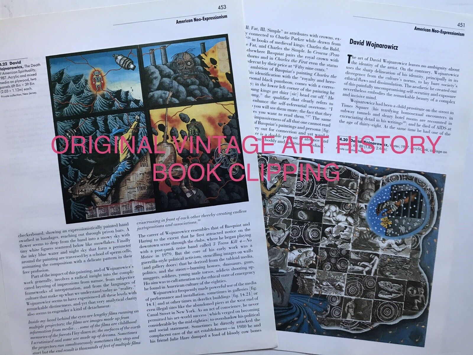 David Wojnarowicz ART History CLIPPING From Book 3.5 Pages Vintage