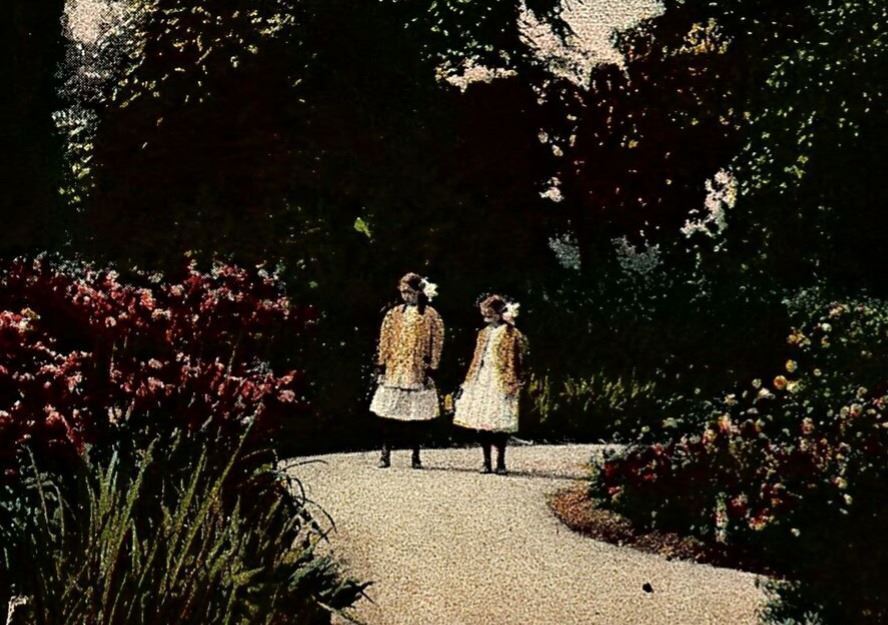 1909 CHICAGO JACKSON PARK WOODED ISLAND FLOWERS LEISURE WALKING POSTCARD 25-118