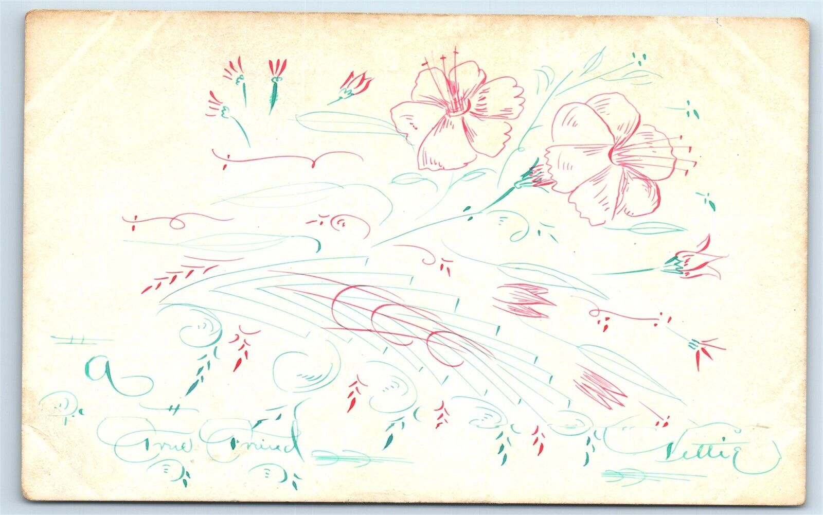 Postcard Hand Drawn Flowers 1910 J160
