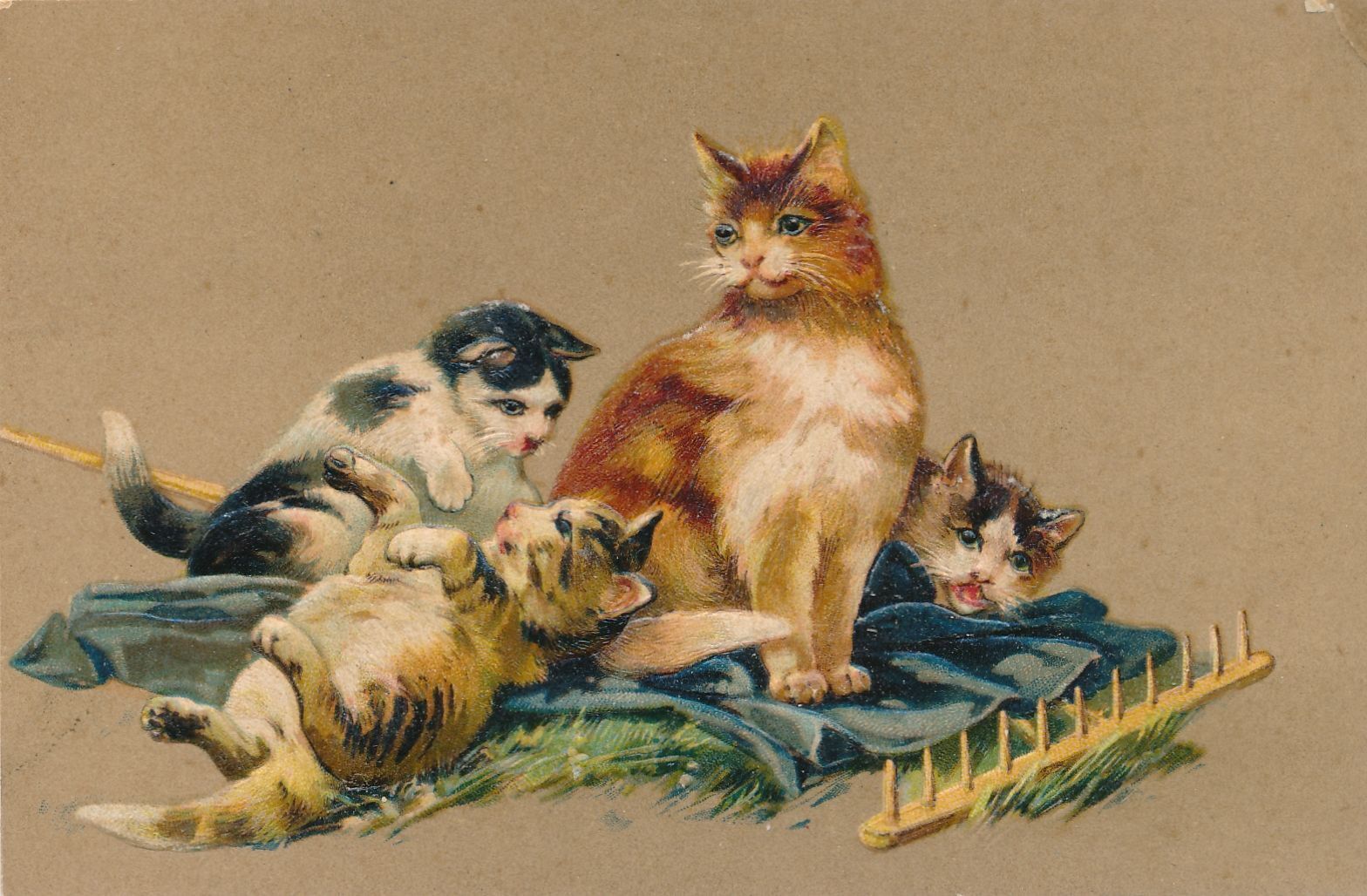 Four Cats and Rake PFB Postcard - 1909