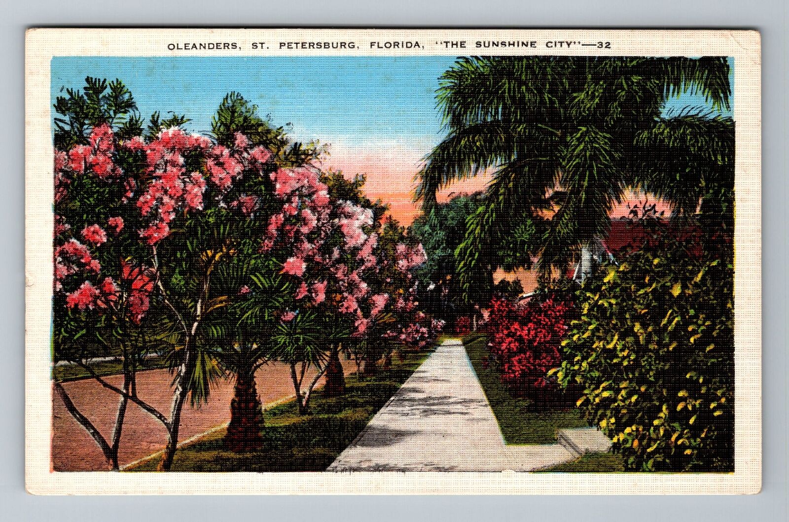 St Petersburg FL-Florida, Oleanders Vintage Souvenir Postcard
