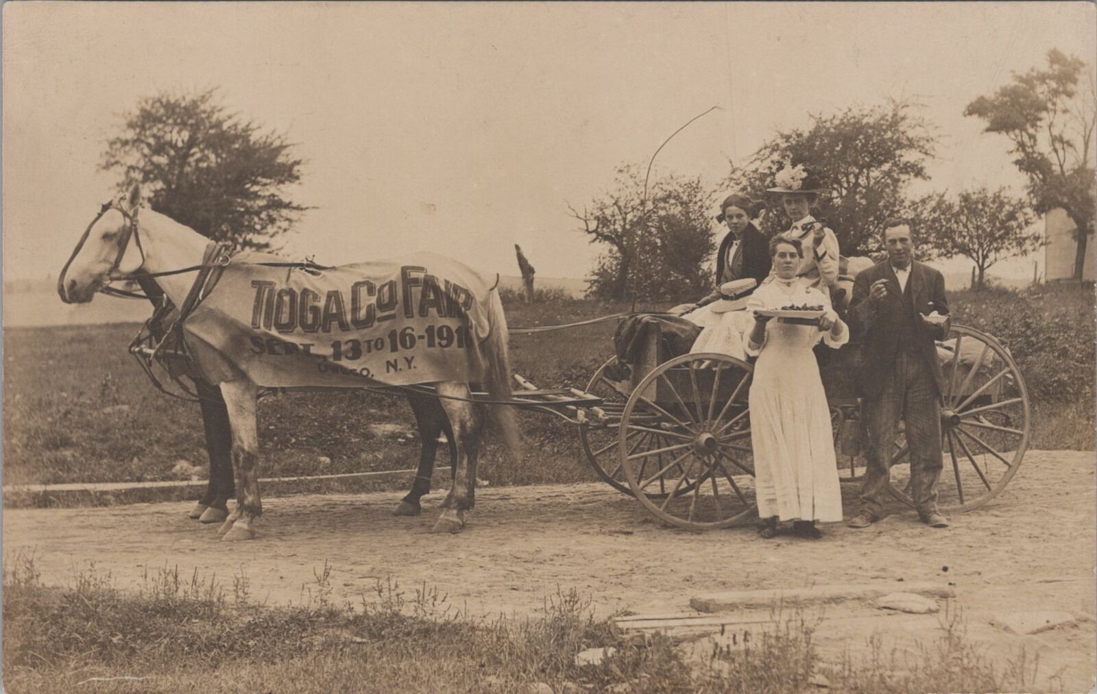 Tioga County Fair, Owego, New York Decorated Horse c1910s RPPC Postcard
