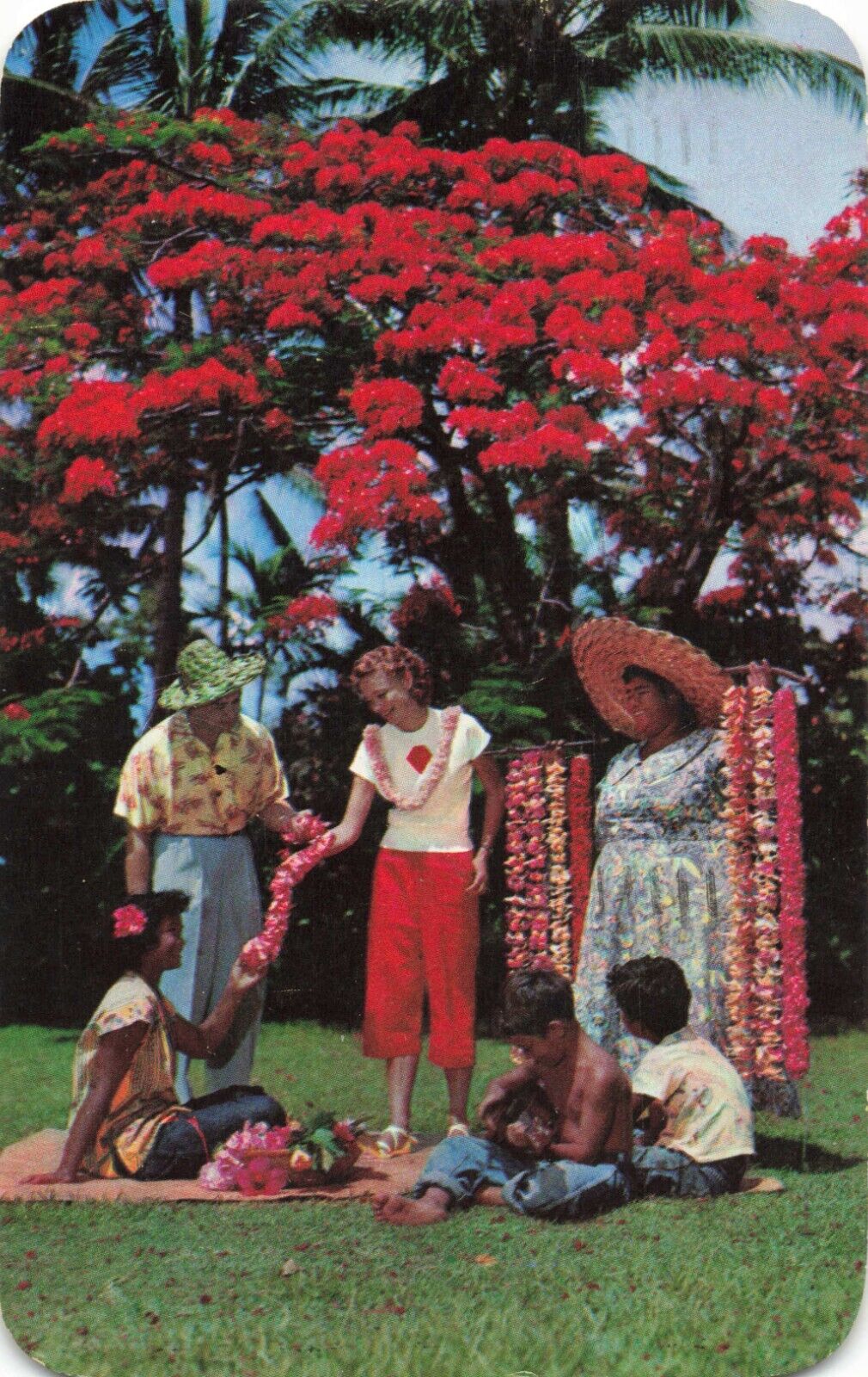 Honolulu HI Hawaii, Lei Seller Tourists Helpers Poinciana Tree, Vintage Postcard