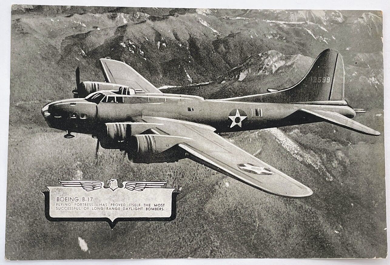 Navy Airplane Original 1940s 5x7 Photo Picture Card Military Plane BOEING B-17