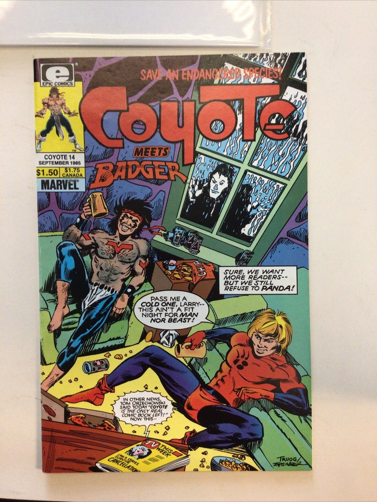 Epic Comics Coyote #14 1985
