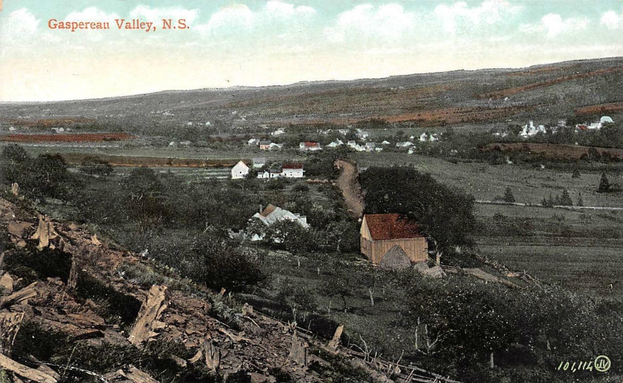 NOVIA SCOTIA, Canada   GASPEREAU VALLEY~Bird's Eye View  HOMES  c1910's Postcard