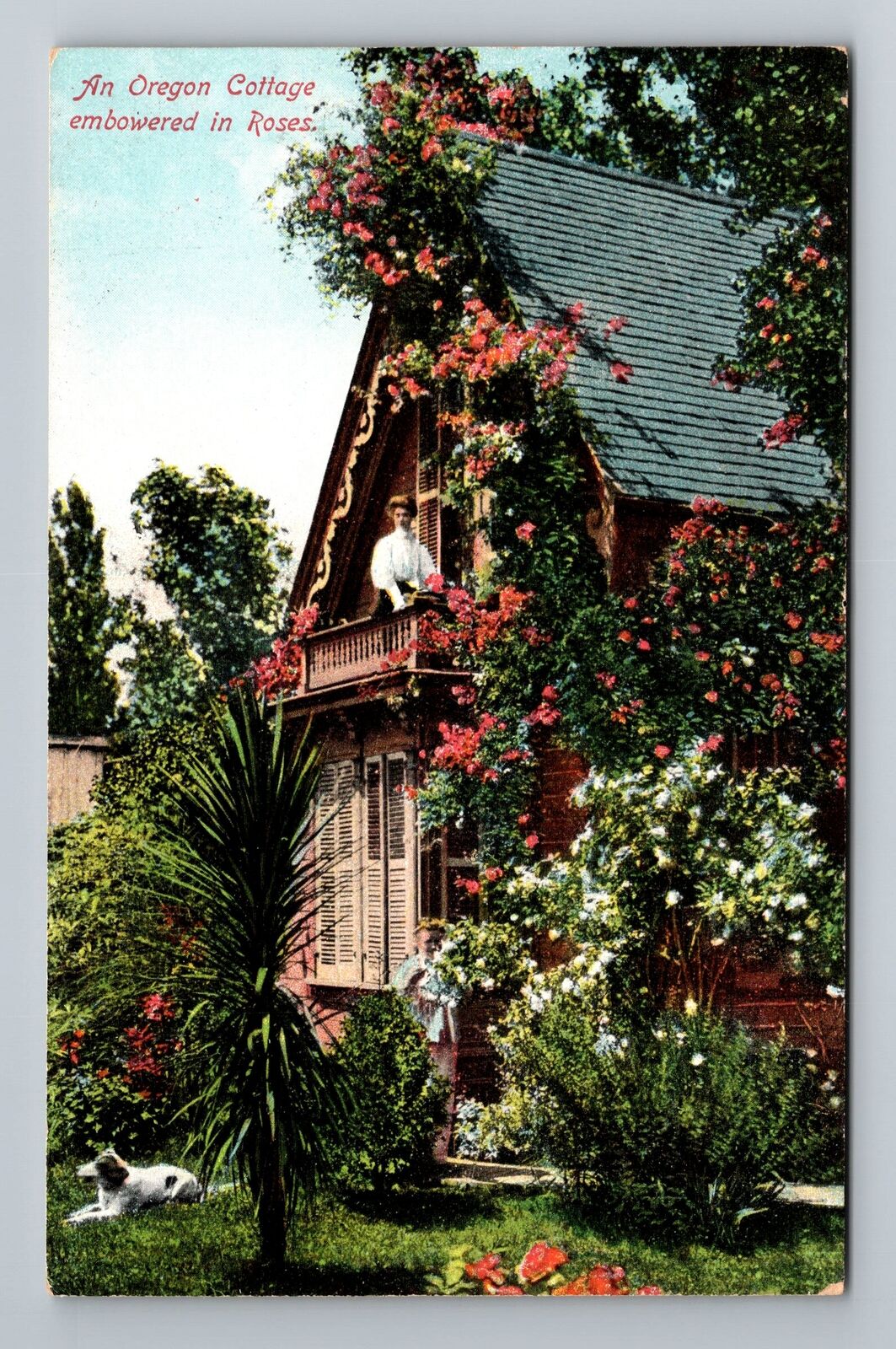 An Oregon Cottage Embowered In Roses Vintage Souvenir Postcard
