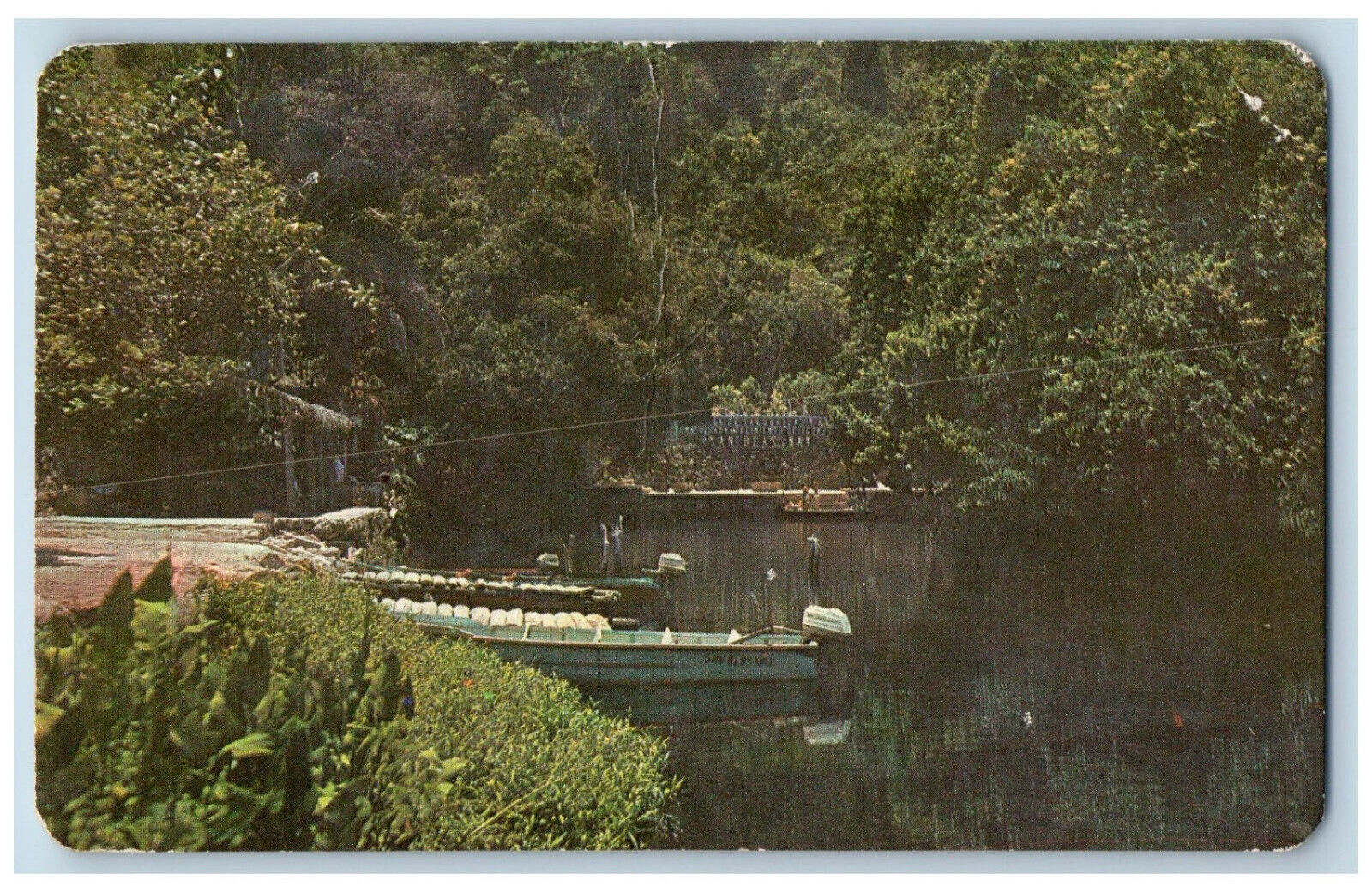 San Blas Nayarit Mexico Postcard Tropical Jungle Tour Paseo La Tovara c1950's
