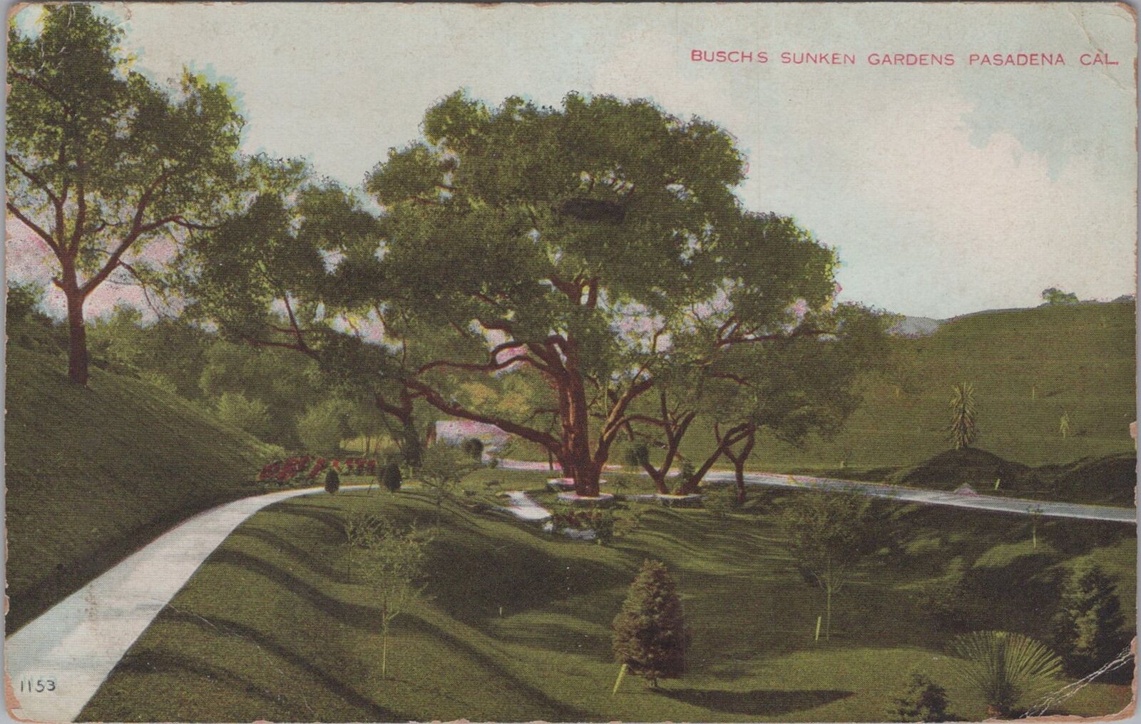 Busch's Sunken Gardens Pasadena California Postcard