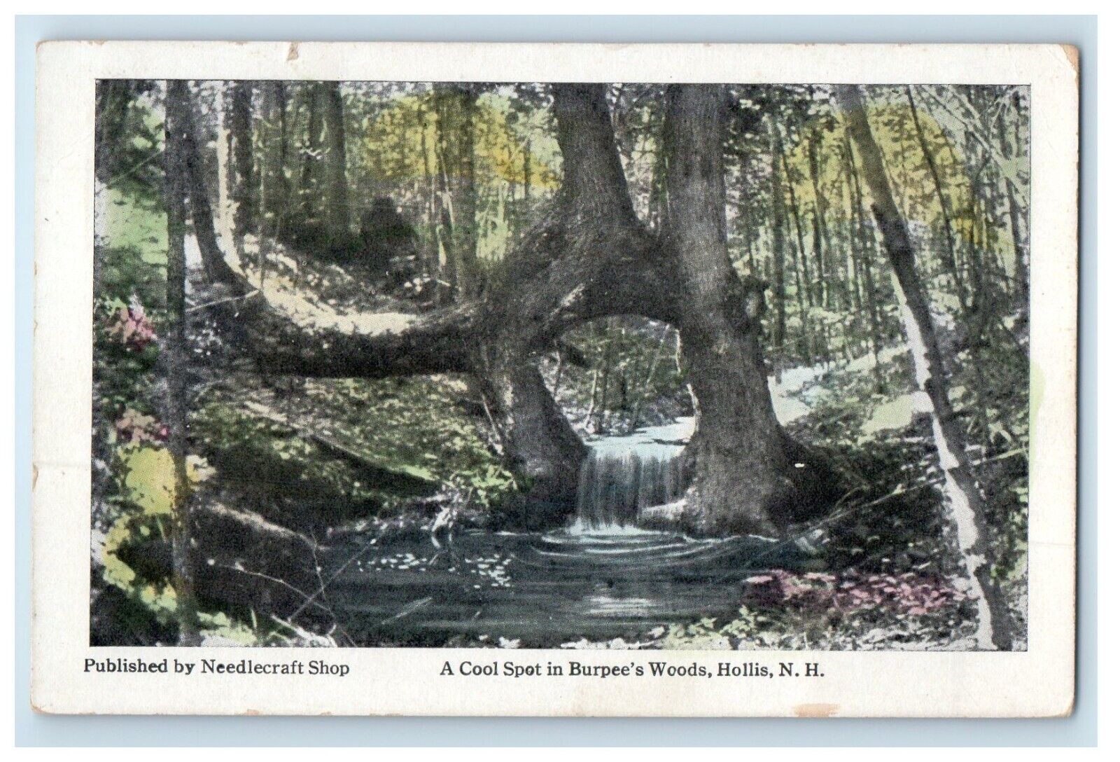 c1910's A Cool Spot In Burpee's Wood Hollis New Hampshire NH Antique Postcard