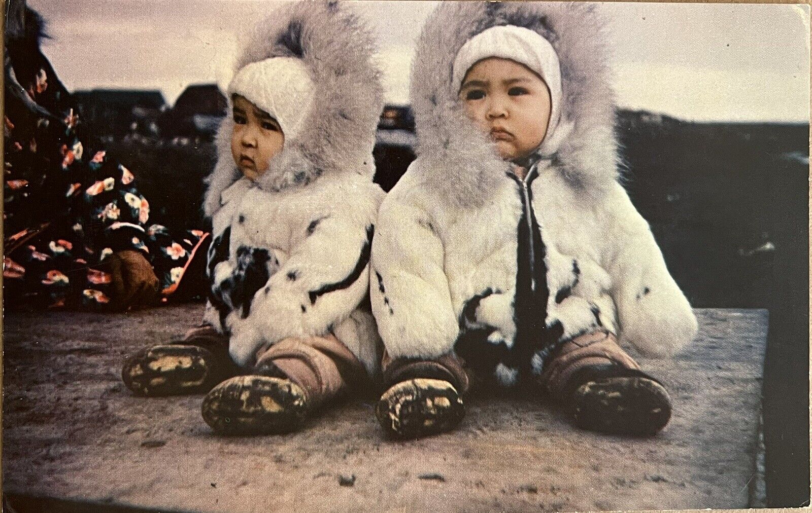 Fairbanks Alaska Eskimo Baby Twins Postcard