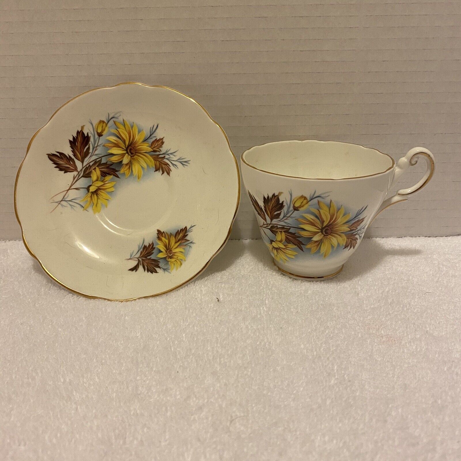 Vintage Daisy Tea Cup and Saucer Regency Bone China From England
