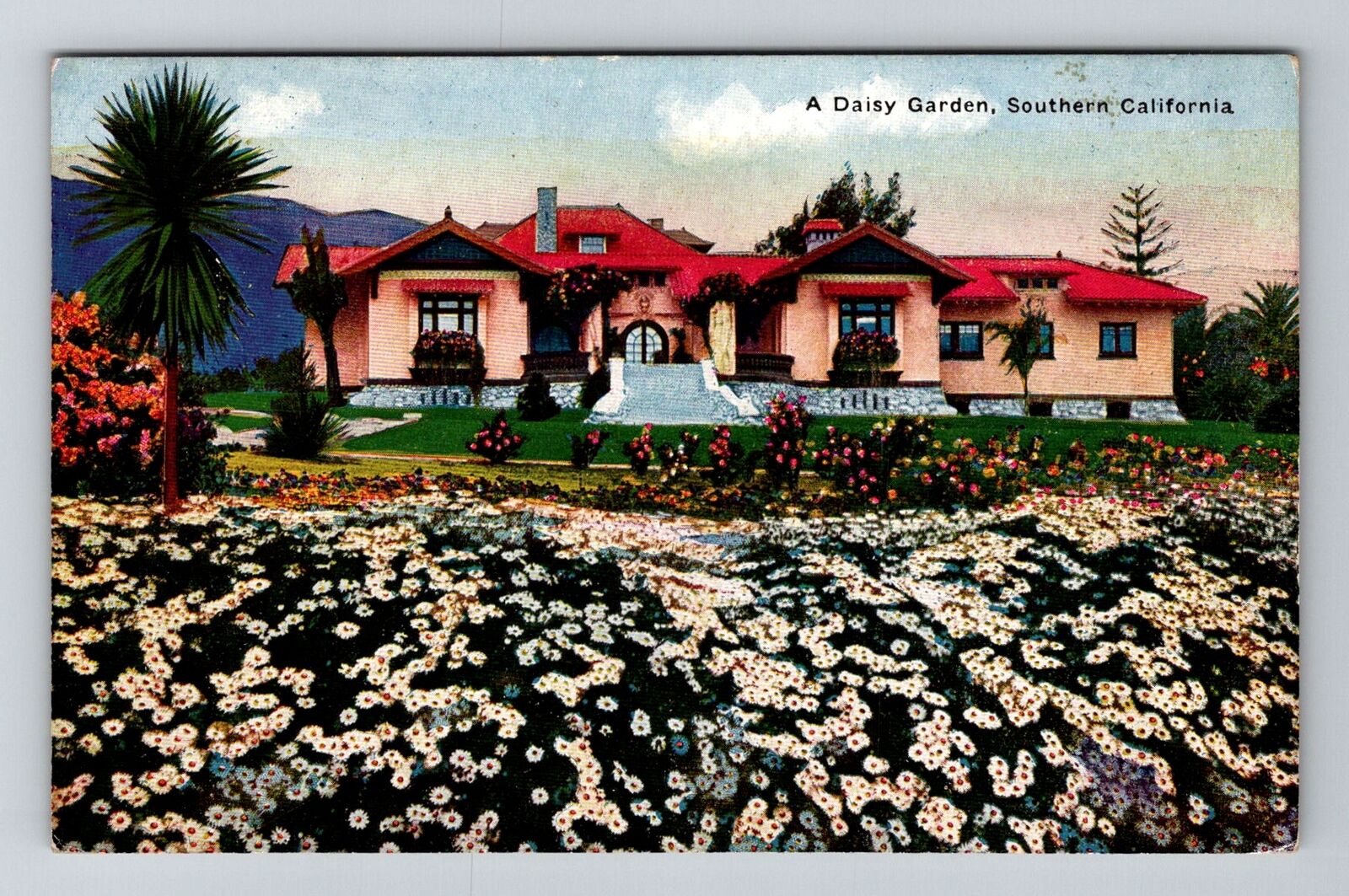 Southern, CA-California, A Daisy Garden Antique, Vintage Souvenir Postcard
