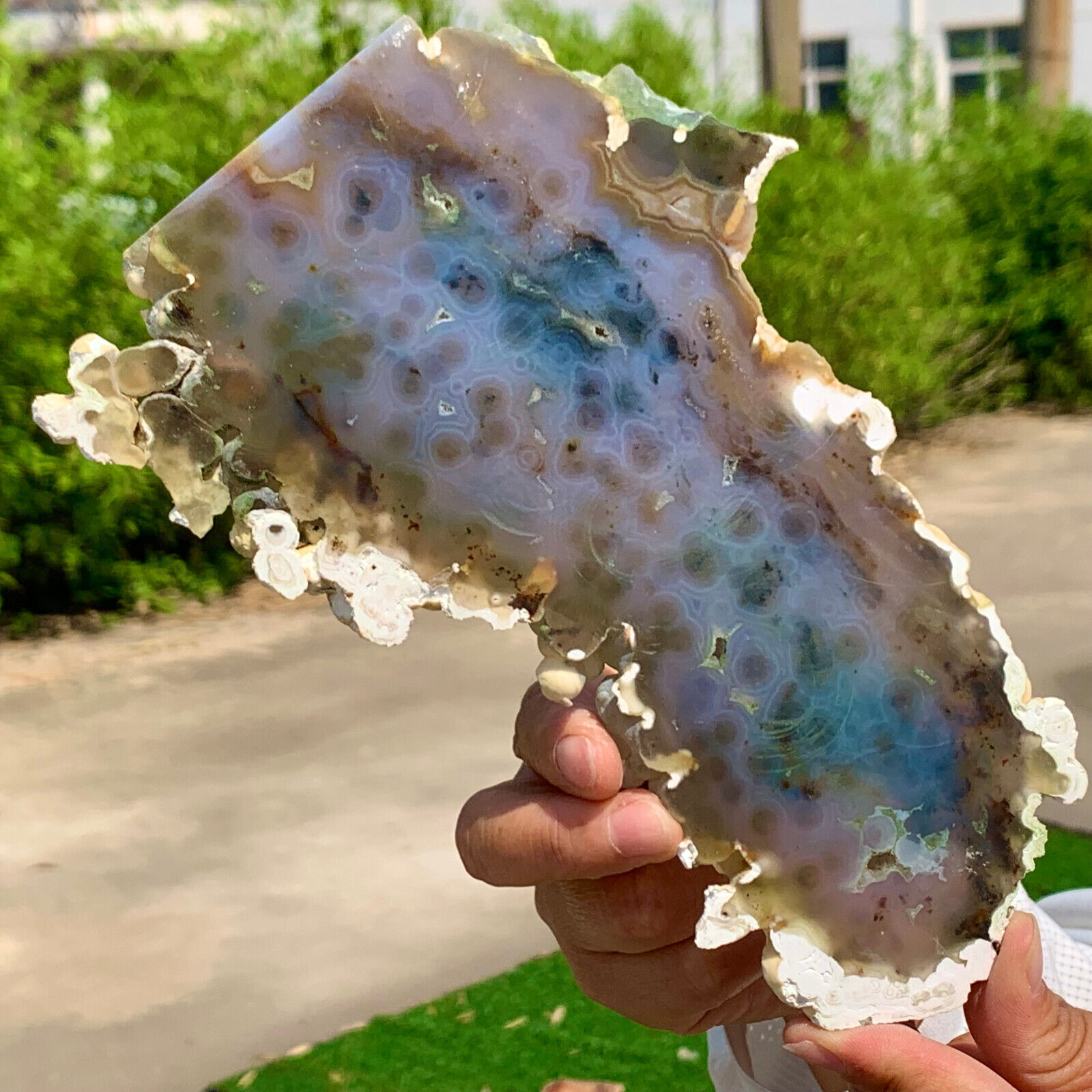386G  Natural Ocean Jasper Crystal SliceLarge Specimen Healing- Museum Grade