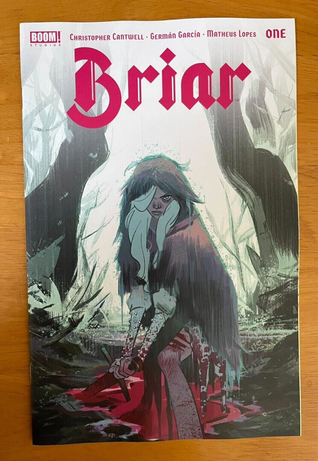 Briar #1 German Garcia Main Cover A 1st Print  BOOM STUDIOS NM