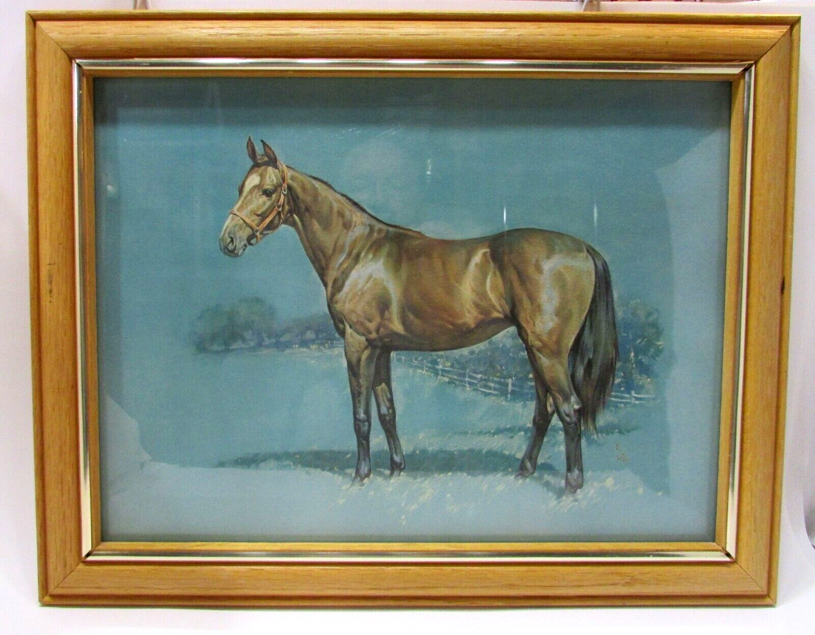 Vintage 1950's 12x16 Beautiful Horse Print Under Glass in Solid Oak Wood Frame