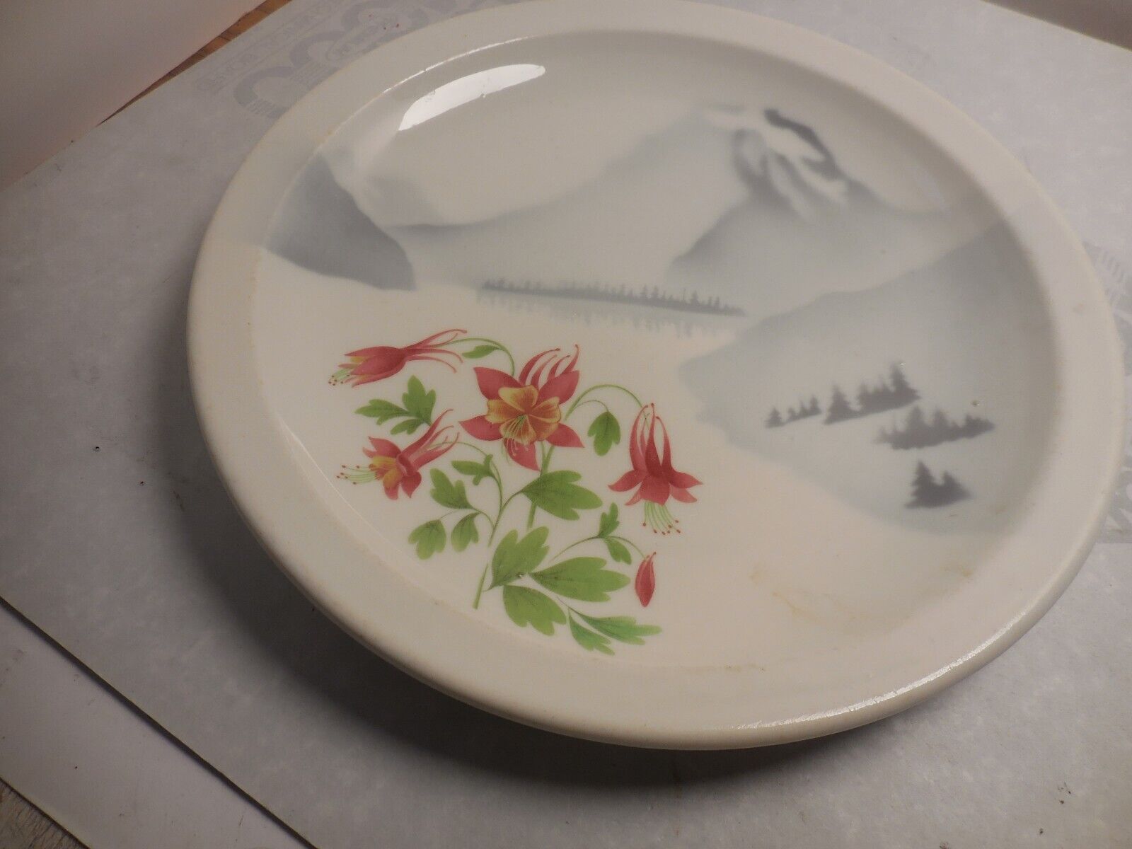Great Northern Mountain & Flowers by Syracuse China USA
