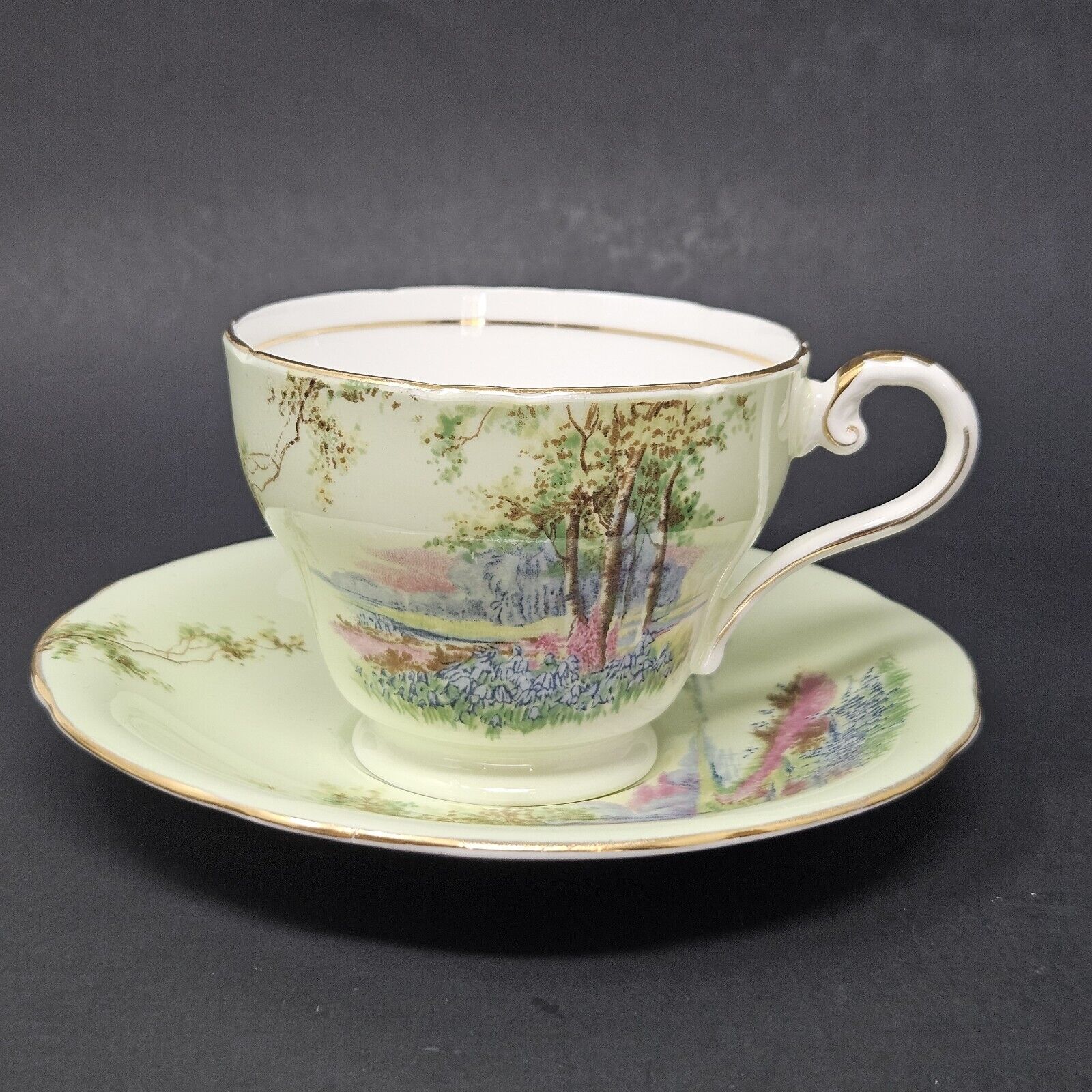 AYNSLEY TEA CUP AND SAUCER GREEN BIRCH 