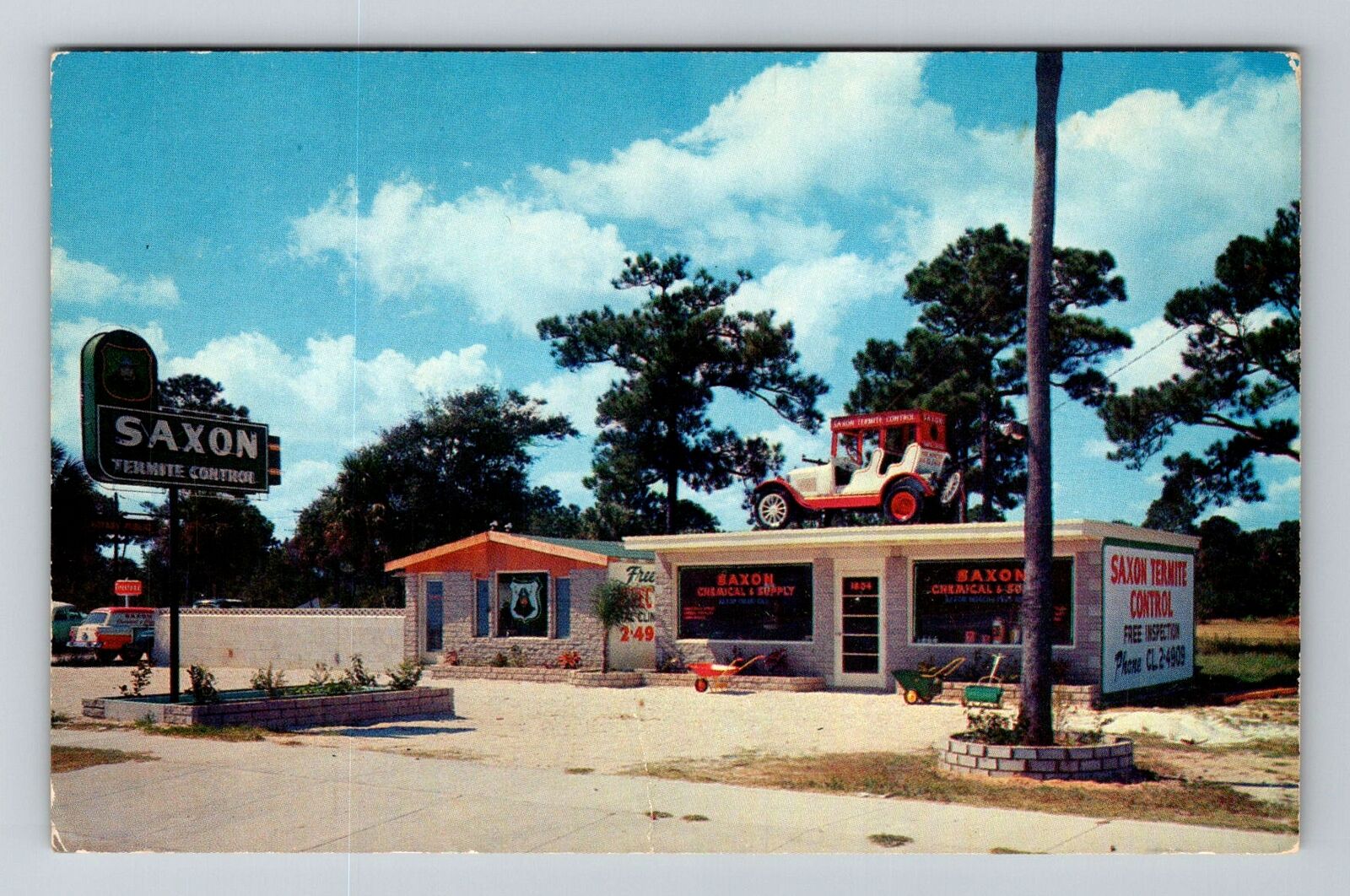 Jacksonville FL-Florida, Saxon Termite Control, Advertising, Vintage Postcard