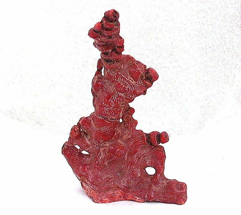 356 Gram 7 1/8 Inch Dyed Red Coral Branch Specimen Gemstone Gem Stone CB7
