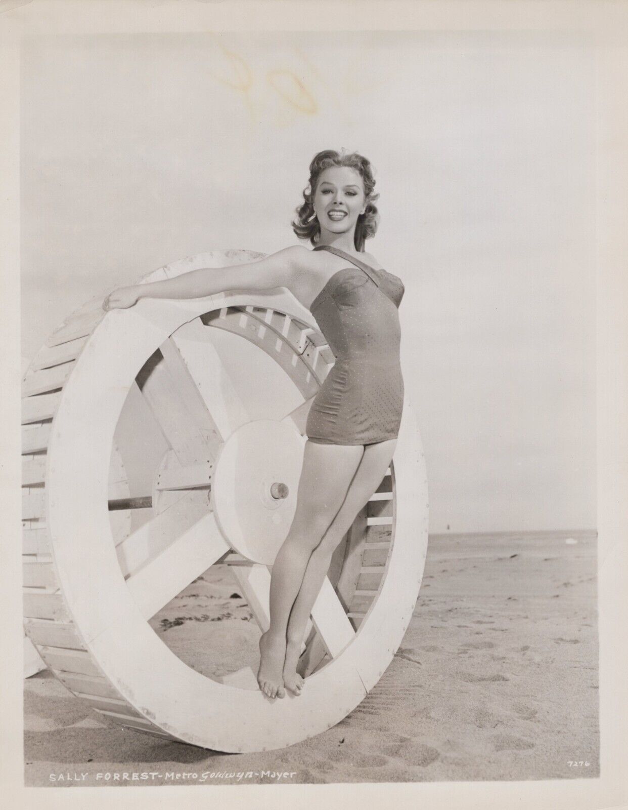 Sally Forrest (1950s) 🎬⭐ Sexy Leggy Cheesecake Swimsuit MGM Vintage Photo K 344