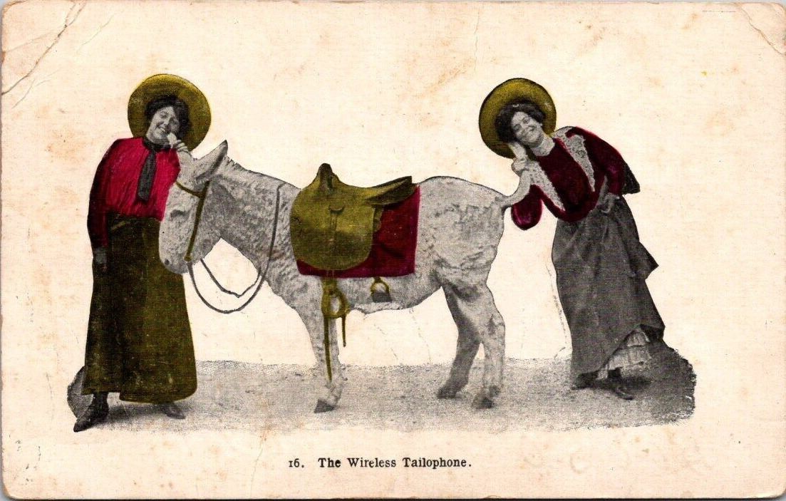 Postcard The Wireless Telephone Humor Donkey Two Women