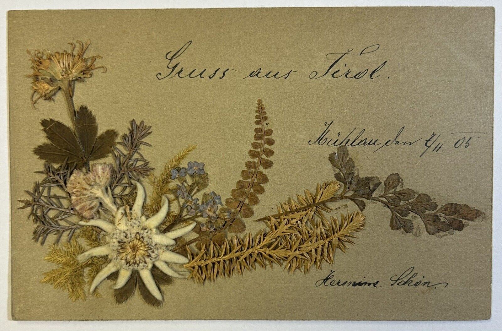 Gruss aus Tirol Antique Handmade Dried Flower Postcard, Posted, Helvetia Stamp
