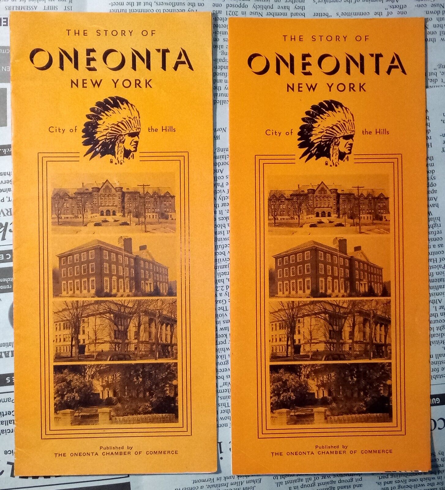 (2) Vintage The Story of Oneonta New York Brochures - circa 1930s