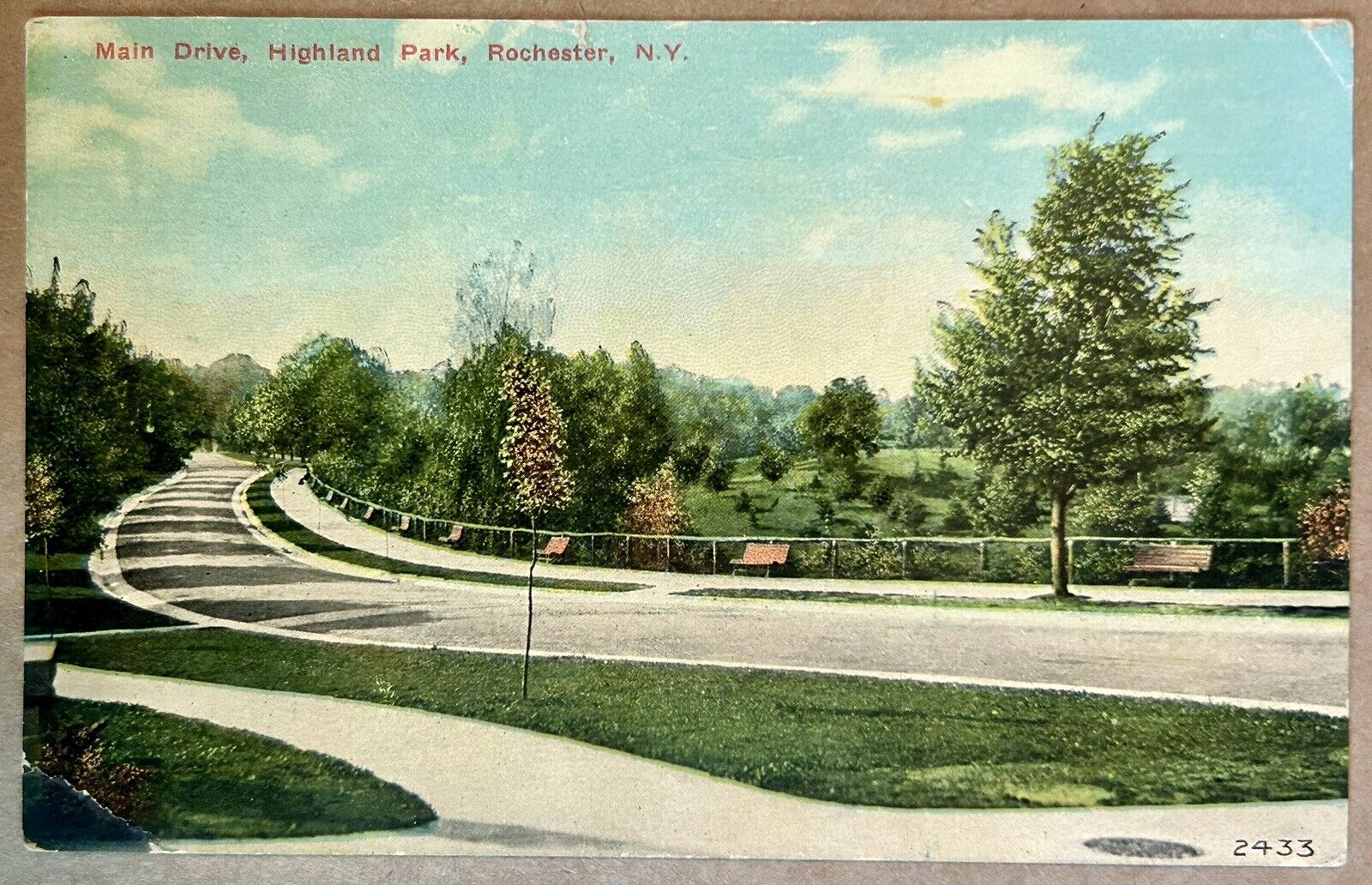 Main Drive, Highland Park, Rochester New York 1918 Vintage Postcard NY