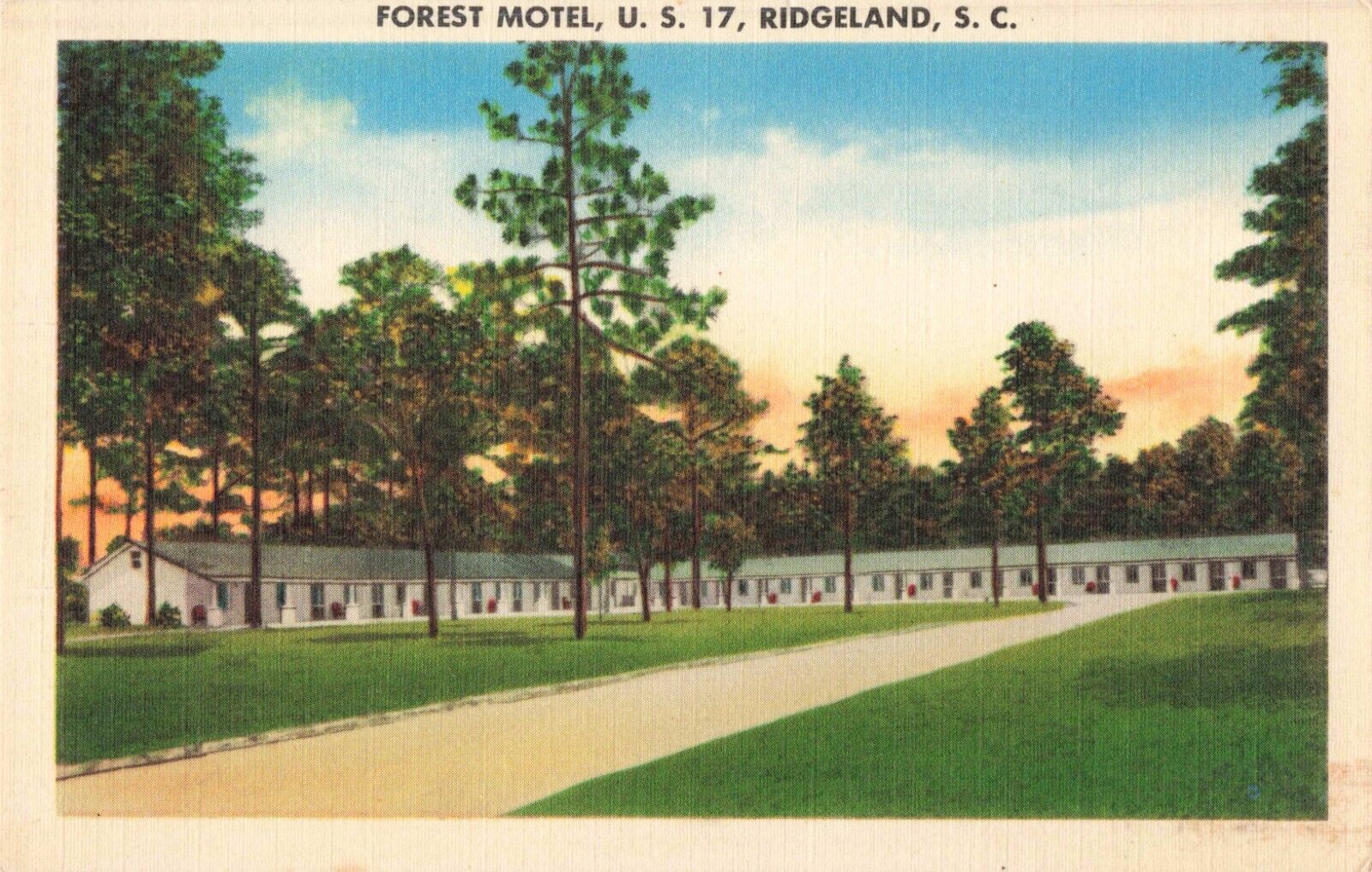 Ridgeland SC South Carolina, Forest Motel Advertising, Vintage Postcard